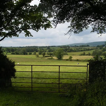 Brandon View House B&B-3